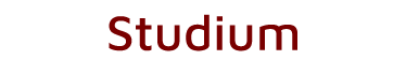 Studium Logo